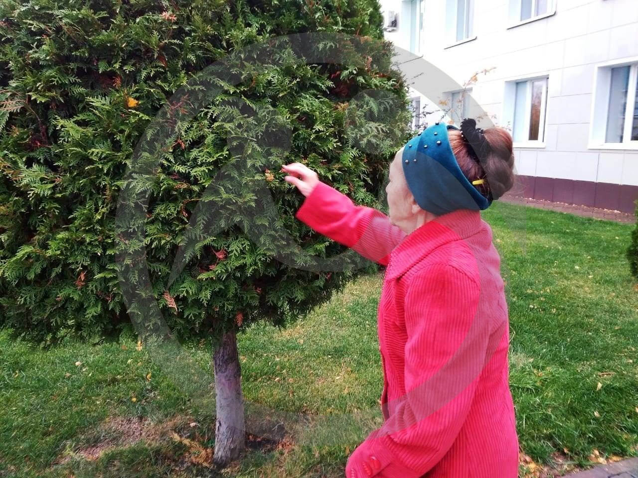 Осенняя нежность