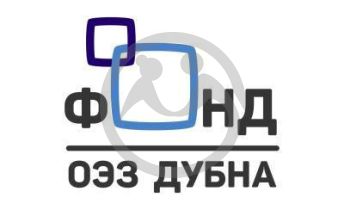 Фонд содействия развитию особой экономической зоны "Дубна"; образованию, науке, экологии, спорту, культуре; поддержки детей, подростков, молодежи и ветеранов - "ОЭЗ Дубна"